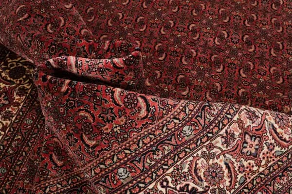 Bidjar — Bidjar — view 12 | RUGSOCIETE