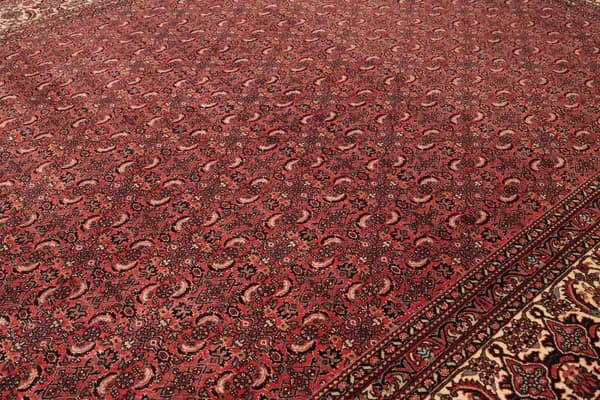 Bidjar — Bidjar — view 7 | RUGSOCIETE