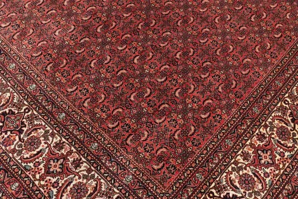 Bidjar — Bidjar — view 8 | RUGSOCIETE