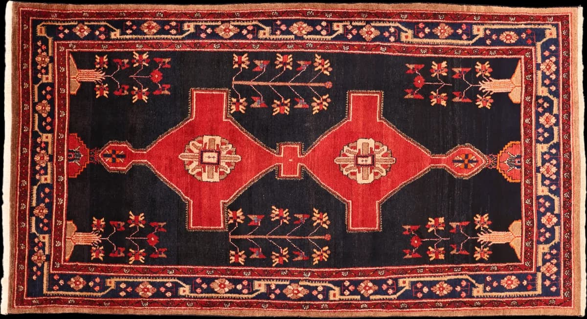 Kordi — Koliayie, 307 × 159 cm | RUGSOCIETE