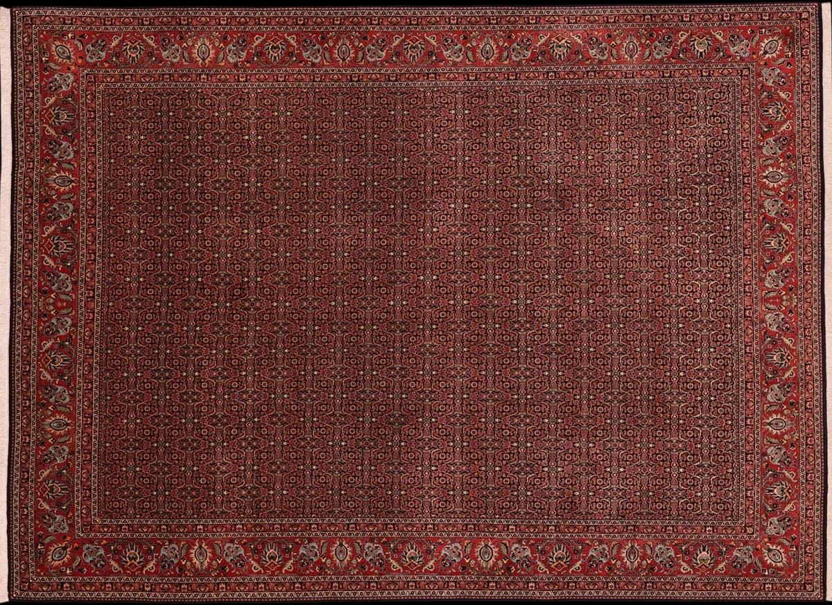 Bidjar — Bidjar exkl.W.S., 342 × 252 cm | RUGSOCIETE