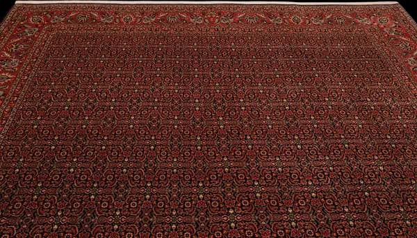 Bidjar — Bidjar exkl.W.S. — view 6 | RUGSOCIETE