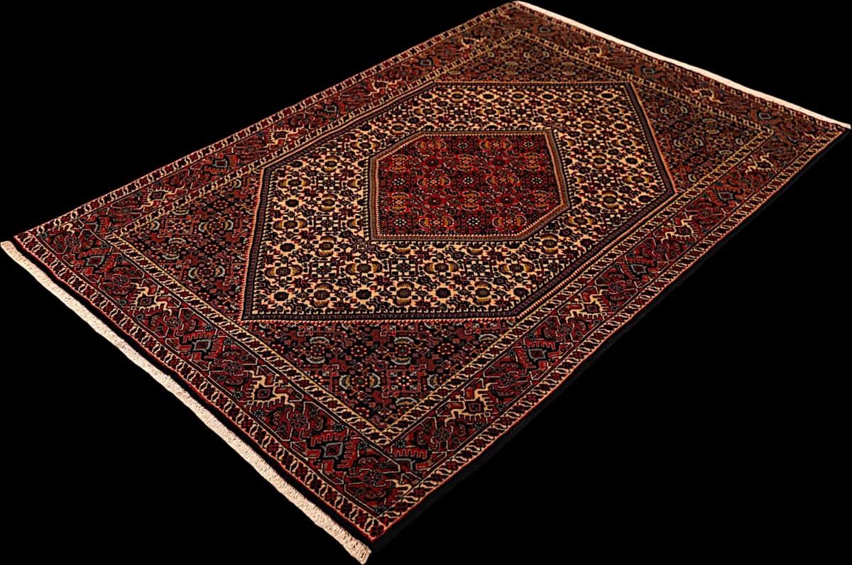 Bidjar — Bidjar, 172 × 112 cm — detail | RUGSOCIETE