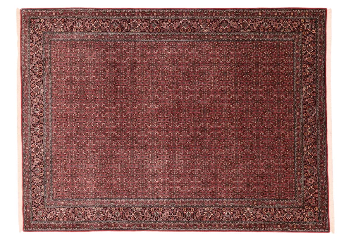 Bidjar — Bidjar exkl.W.S., 350 × 256 cm | RUGSOCIETE