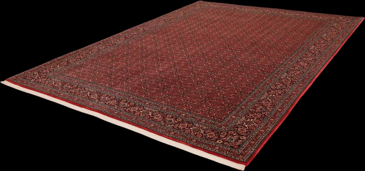 Bidjar — Bidjar exkl.W.S., 350 × 256 cm — detail | RUGSOCIETE