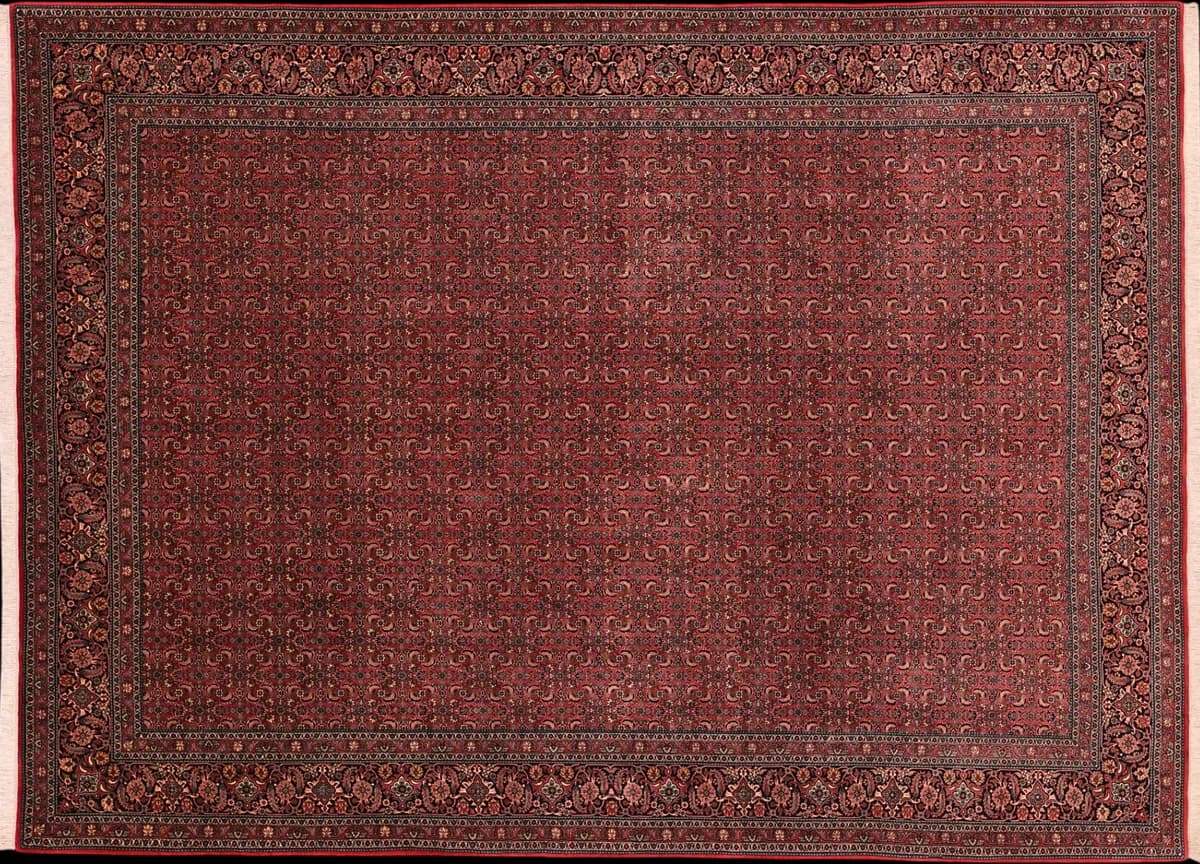 Bidjar — Bidjar exkl.W.S., 350 × 256 cm | RUGSOCIETE