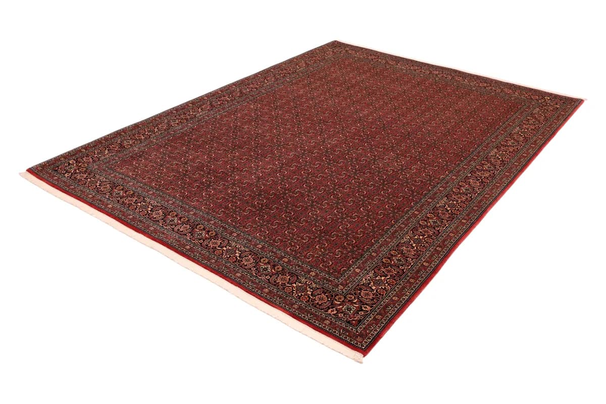 Bidjar — Bidjar exkl.W.S., 350 × 256 cm — detail | RUGSOCIETE