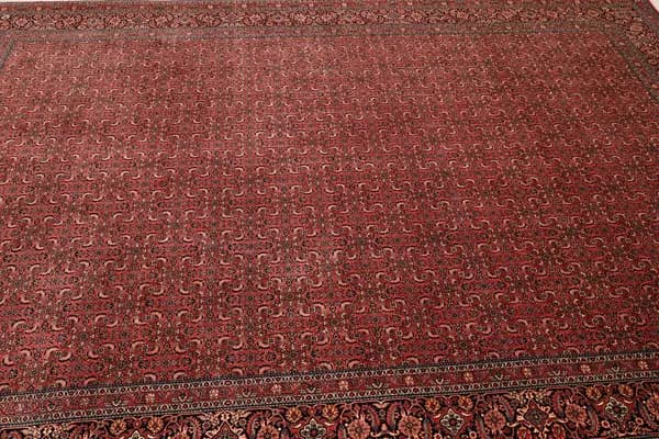Bidjar — Bidjar exkl.W.S. — view 6 | RUGSOCIETE