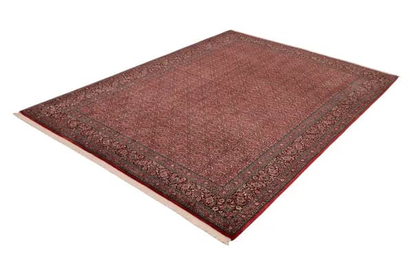 Bidjar — Bidjar exkl.W.S. — view 8 | RUGSOCIETE