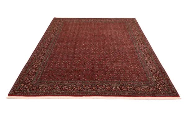 Bidjar — Bidjar exkl.W.S. — view 4 | RUGSOCIETE