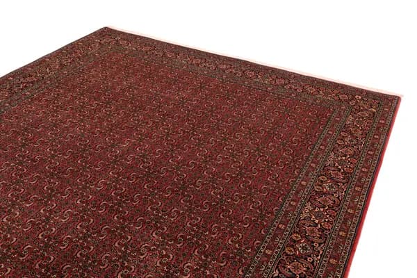 Bidjar — Bidjar exkl.W.S. — view 5 | RUGSOCIETE