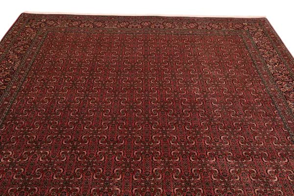 Bidjar — Bidjar exkl.W.S. — view 6 | RUGSOCIETE