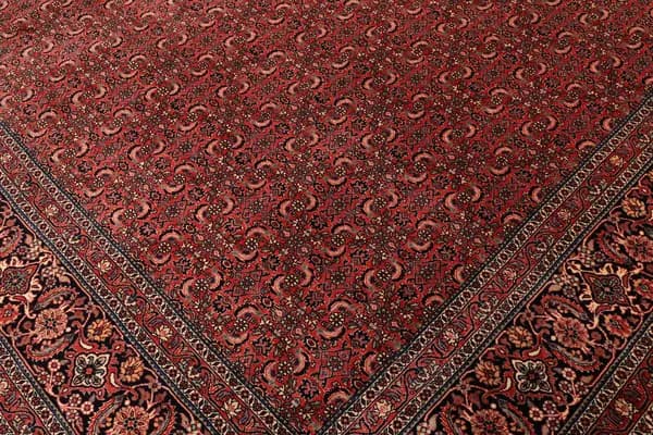 Bidjar — Bidjar exkl.W.S. — view 7 | RUGSOCIETE