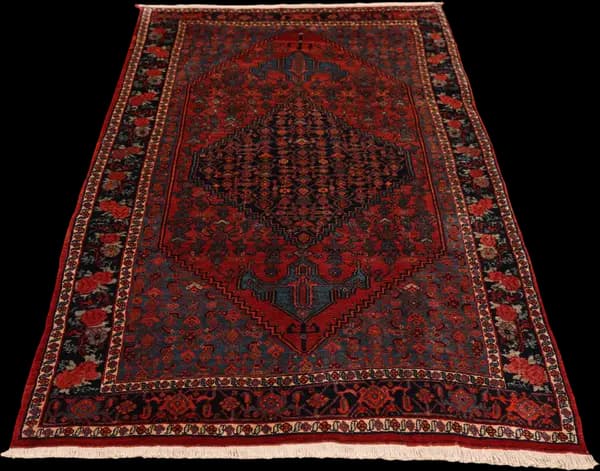 Bidjar Teppich 13237 — Garrous — view 13 | RUGSOCIETE