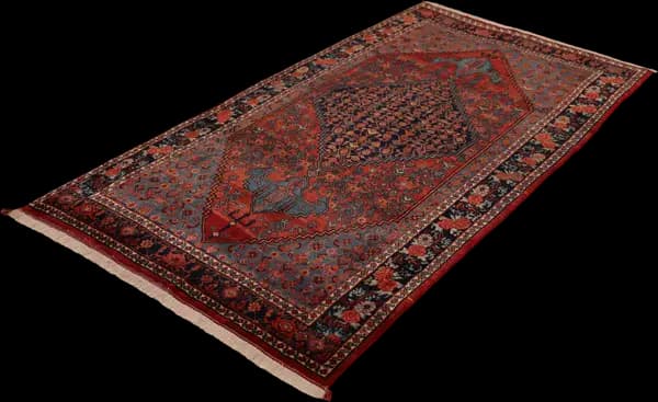 Bidjar Teppich 13237 — Garrous — view 3 | RUGSOCIETE