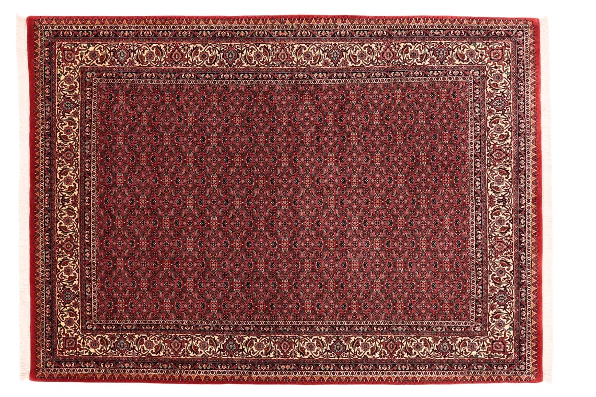 Bidjar — Bidjar exkl.W.S., 242 × 174 cm | RUGSOCIETE