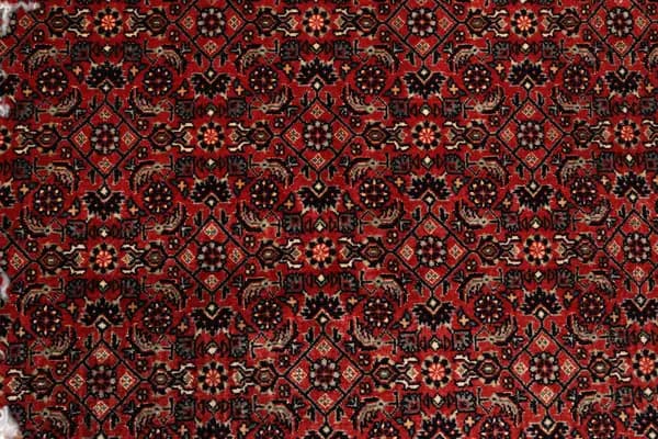 Bidjar — Bidjar exkl.W.S. — view 6 | RUGSOCIETE