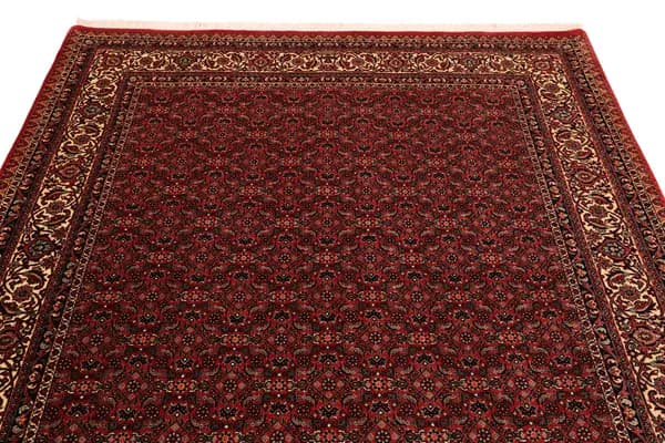 Bidjar — Bidjar exkl.W.S. — view 8 | RUGSOCIETE