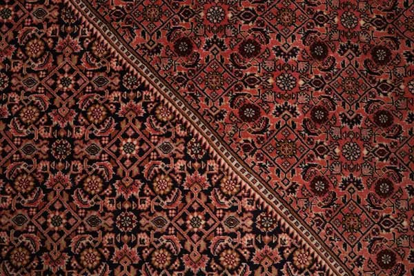 Bidjar — Bidjar — view 7 | RUGSOCIETE
