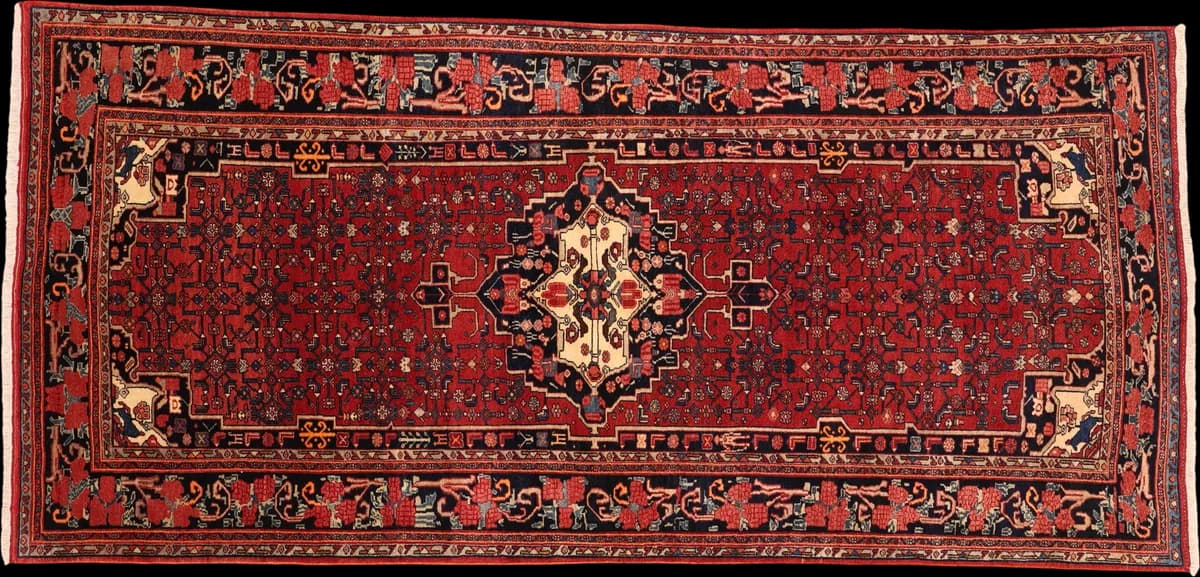 Bidjar Teppich 17244 — Garrous, 318 × 149 cm | RUGSOCIETE