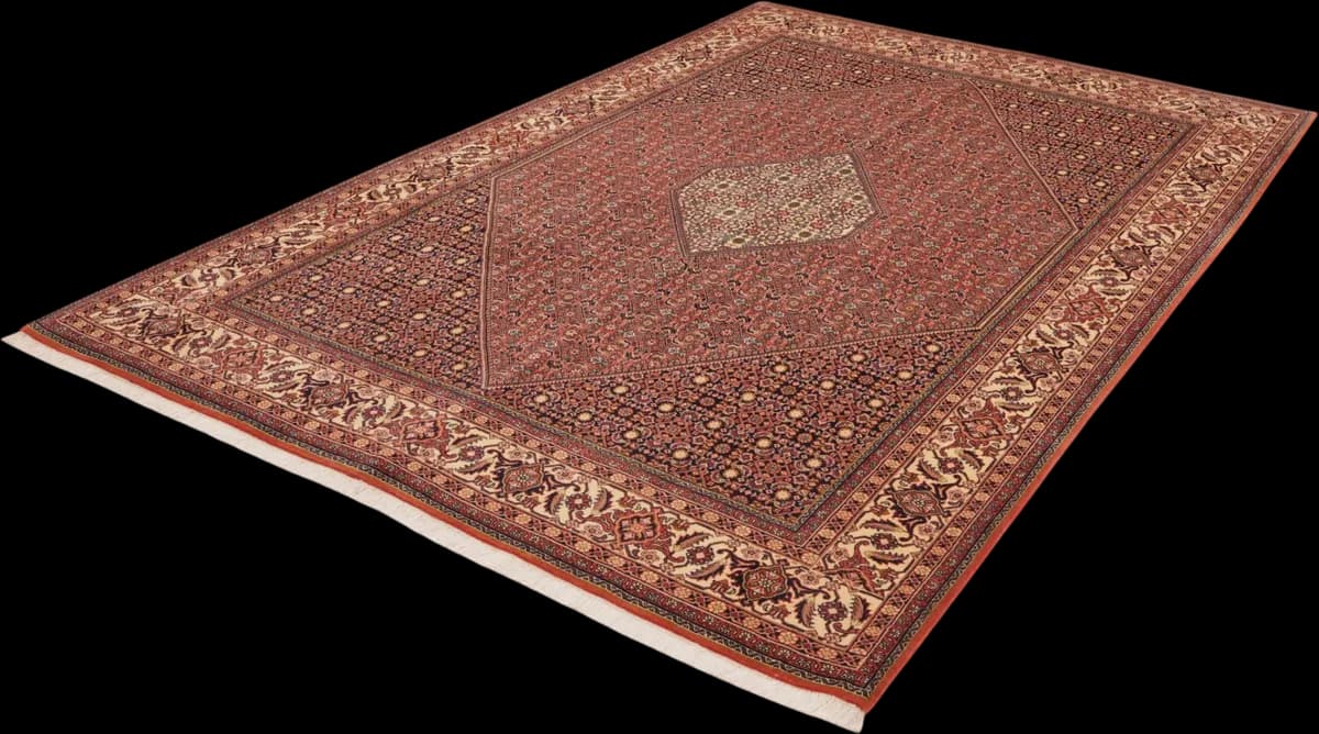 Bidjar — Bidjar, 302 × 199 cm — detail | RUGSOCIETE