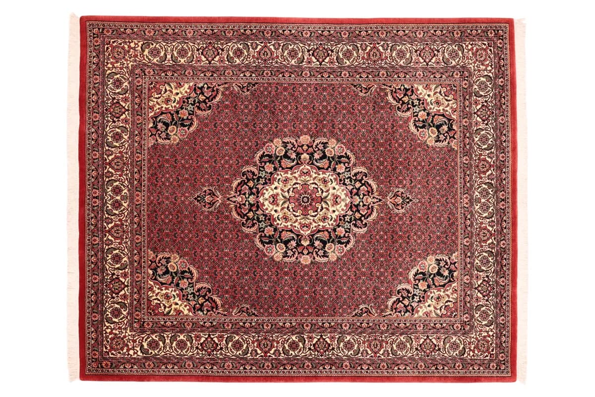Bidjar — Bidjar exkl.W.S., 245 × 204 cm | RUGSOCIETE
