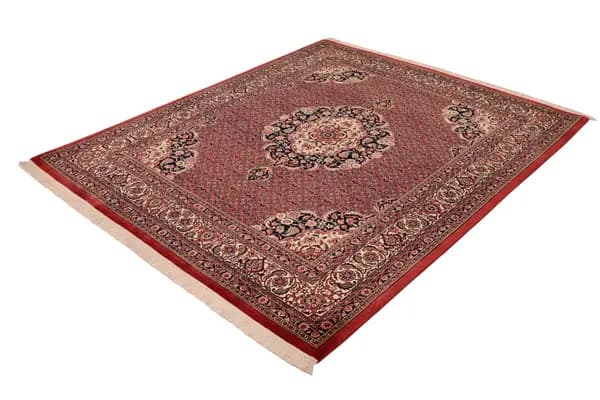Bidjar — Bidjar exkl.W.S. — view 5 | RUGSOCIETE