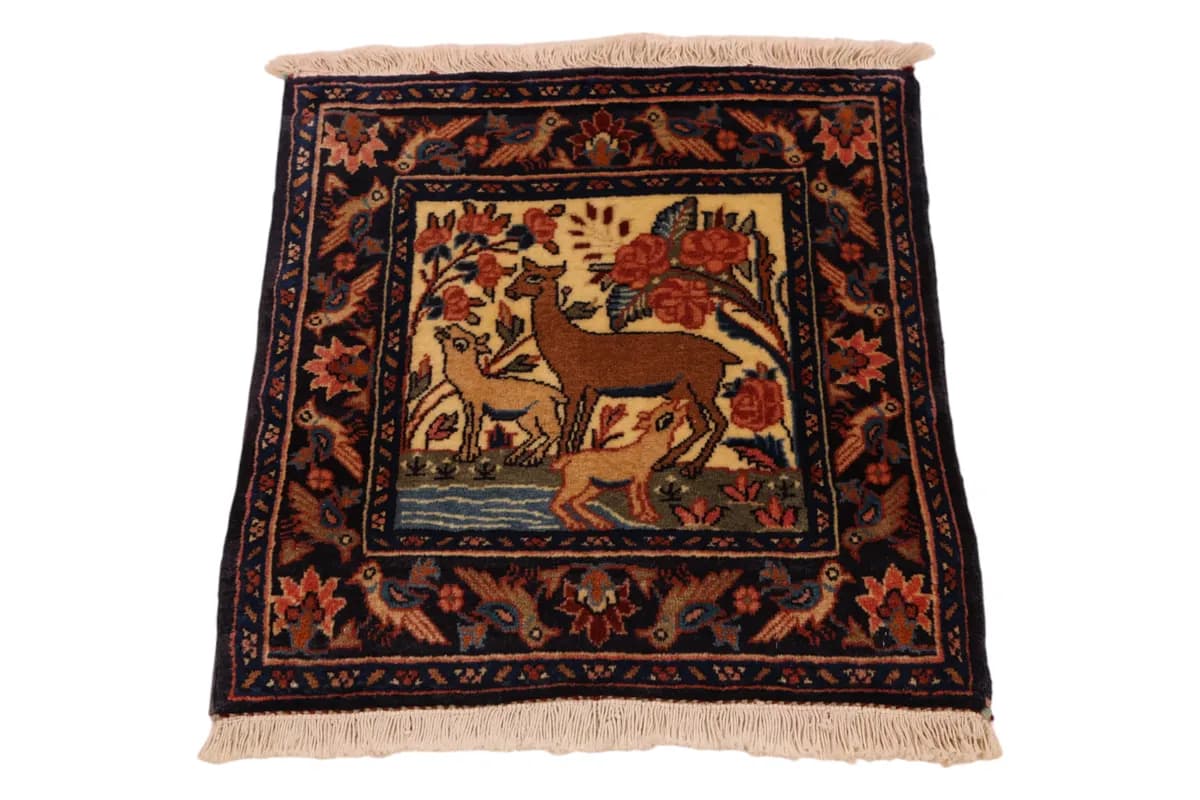 Bidjar Teppich 11111 — Bidjar, 50 × 48 cm — detail | RUGSOCIETE