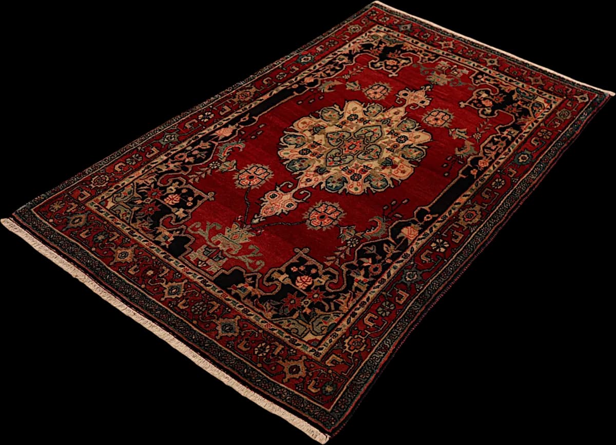 Bidjar — Garrous, 170 × 103 cm — detail | RUGSOCIETE