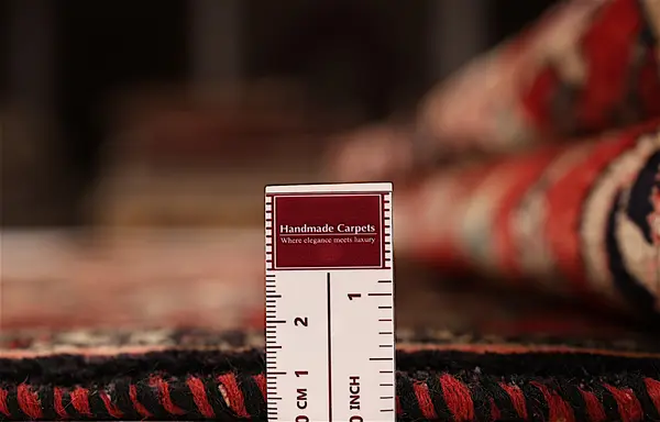 Bidjar — Garrous — view 9 | RUGSOCIETE
