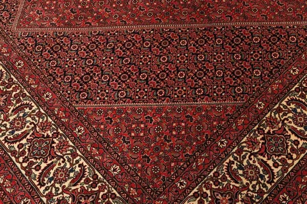 Bidjar — Bidjar exkl.W.S. — view 8 | RUGSOCIETE