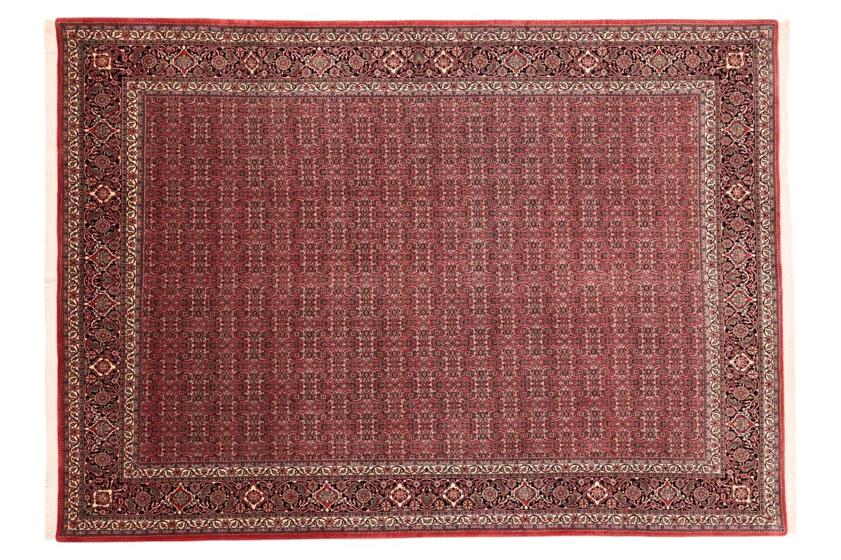 Bidjar — Bidjar exkl.W.S., 351 × 258 cm | RUGSOCIETE