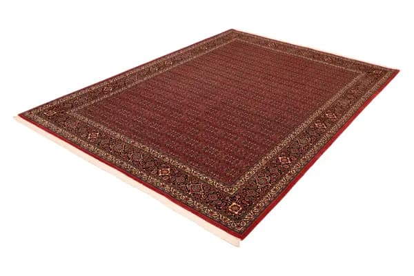 Bidjar — Bidjar exkl.W.S. — view 3 | RUGSOCIETE