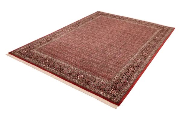 Bidjar — Bidjar exkl.W.S. — view 5 | RUGSOCIETE