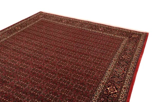 Bidjar — Bidjar exkl.W.S. — view 7 | RUGSOCIETE