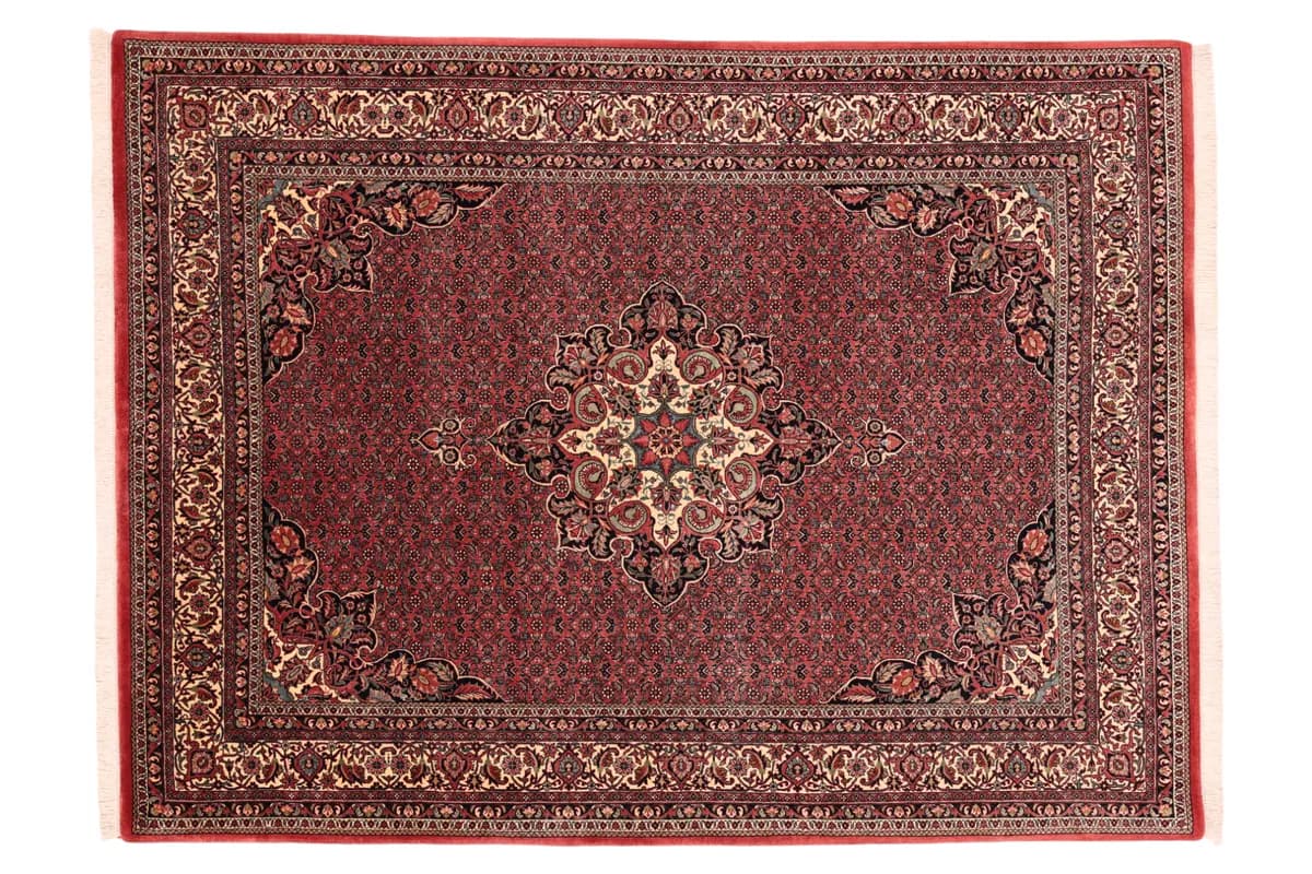 Bidjar — Bidjar exkl.W.S., 234 × 174 cm | RUGSOCIETE