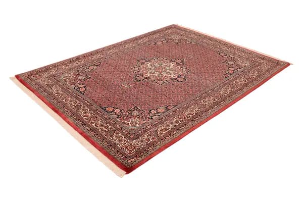 Bidjar — Bidjar exkl.W.S. — view 5 | RUGSOCIETE