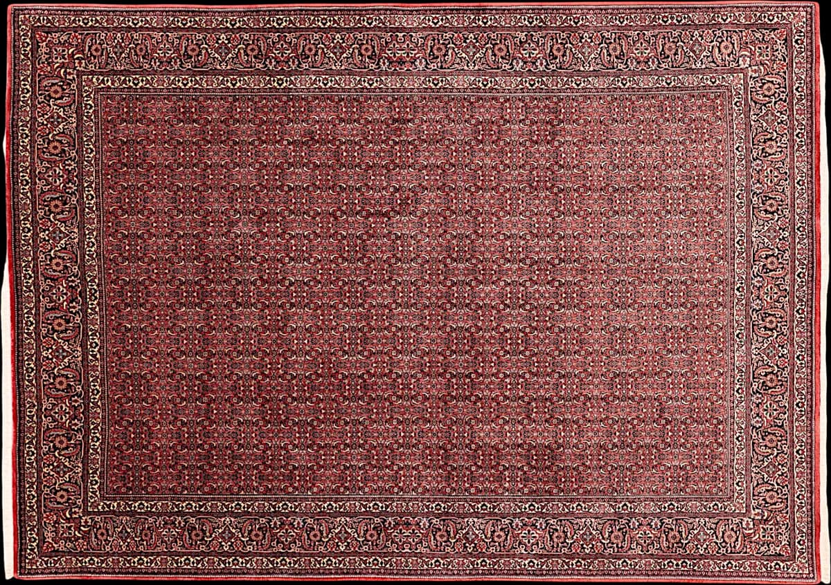 Bidjar — Bidjar exkl.W.S., 354 × 253 cm | RUGSOCIETE