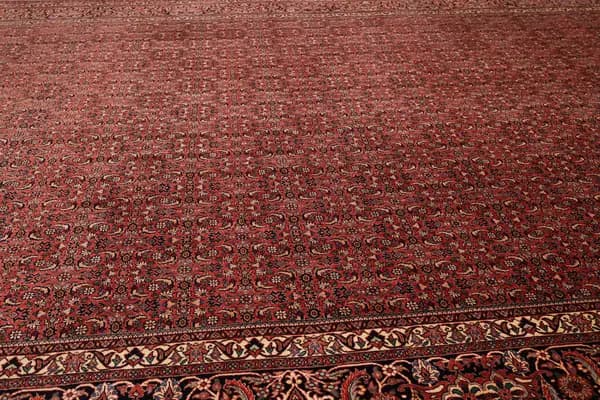 Bidjar — Bidjar exkl.W.S. — view 6 | RUGSOCIETE