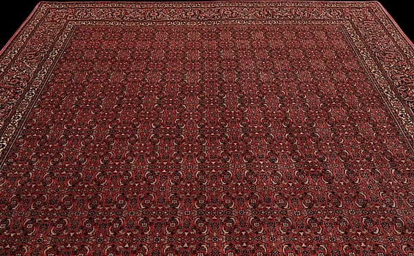 Bidjar — Bidjar exkl.W.S. — view 8 | RUGSOCIETE