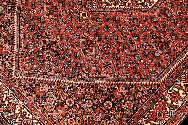 Bidjar — Bidjar — view 8 | RUGSOCIETE