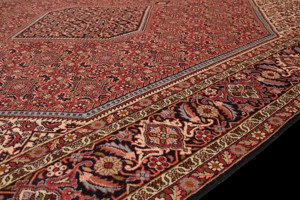 Bidjar — Bidjar — view 9 | RUGSOCIETE