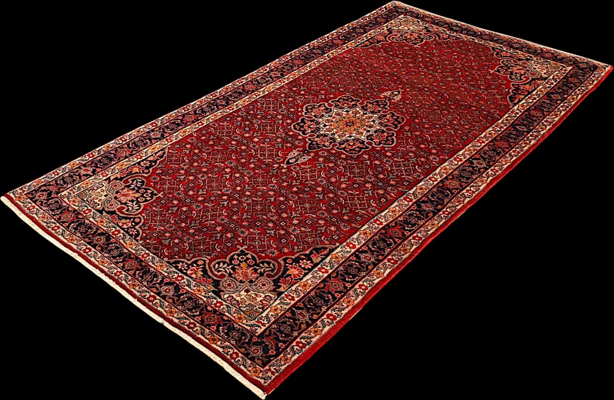 Bidjar — Garrous, 297 × 151 cm — detail | RUGSOCIETE