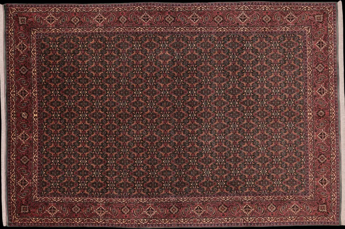 Bidjar — Bidjar exkl.W.S., 301 × 203 cm | RUGSOCIETE