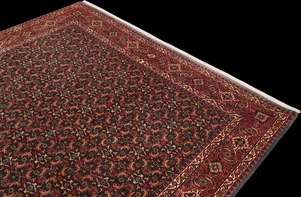 Bidjar — Bidjar exkl.W.S. — view 4 | RUGSOCIETE