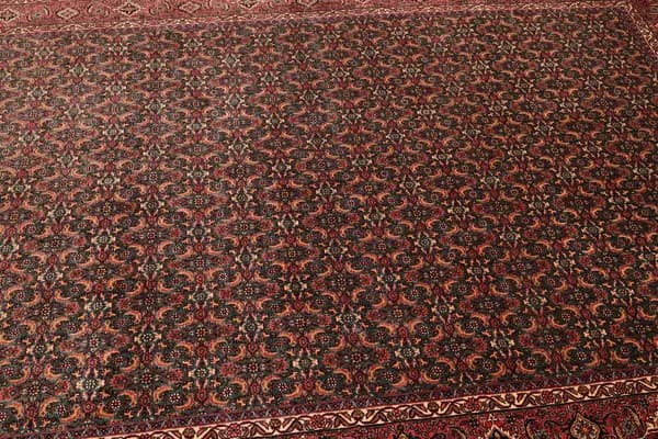Bidjar — Bidjar exkl.W.S. — view 5 | RUGSOCIETE