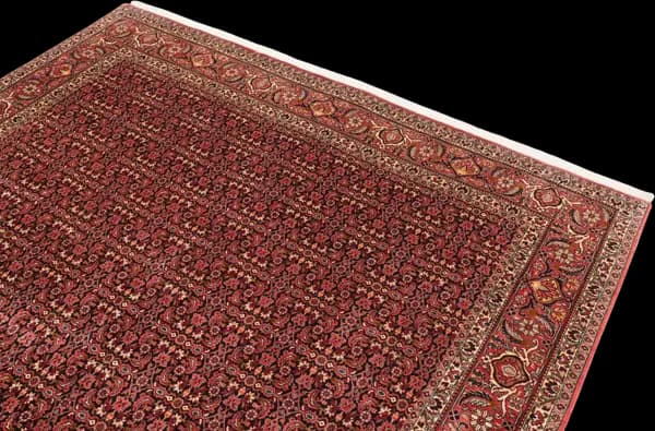 Bidjar — Bidjar — view 5 | RUGSOCIETE