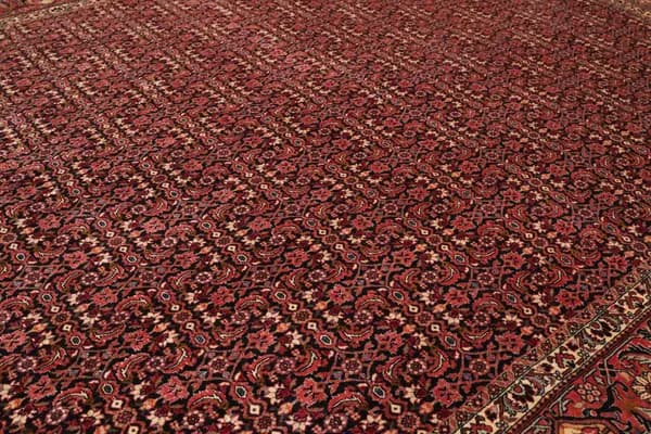 Bidjar — Bidjar — view 7 | RUGSOCIETE