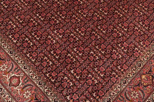 Bidjar — Bidjar — view 8 | RUGSOCIETE