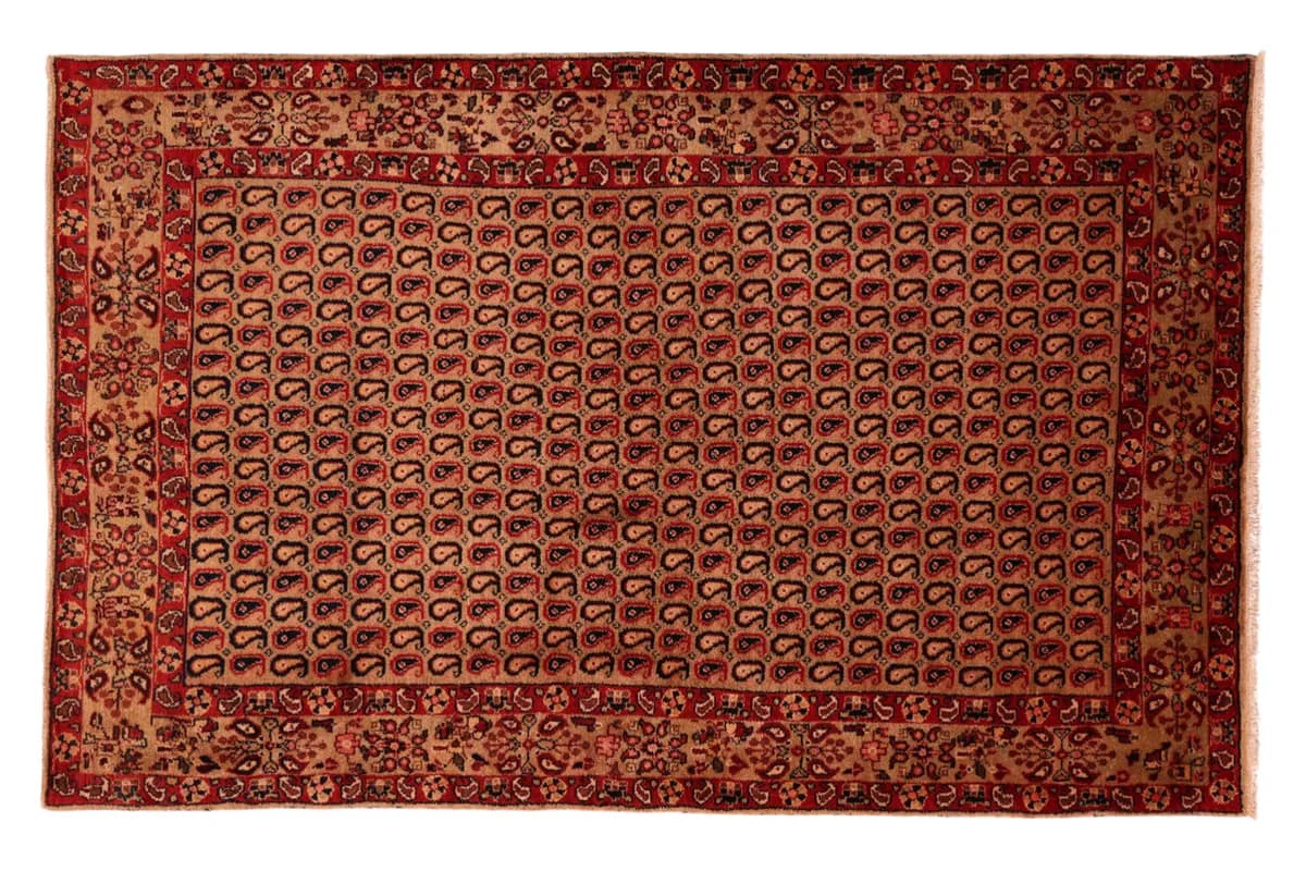 Kordi — Koliayie, 240 × 152 cm | RUGSOCIETE